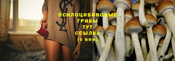 спиды Баксан