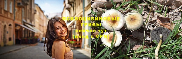 гашик Белоозёрский