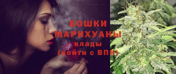 гашик Белоозёрский