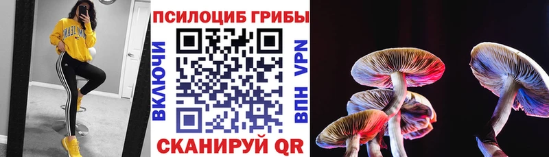 нарко площадка Telegram  где можно купить наркотик  Невель  Псилоцибиновые грибы Psilocybine cubensis 